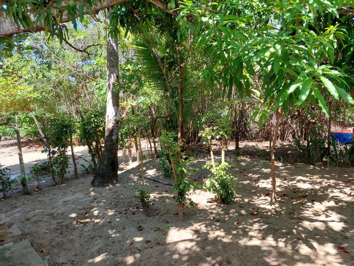 푸에르토플라타 Cabana Playa Cambiaso B&B 외부 사진